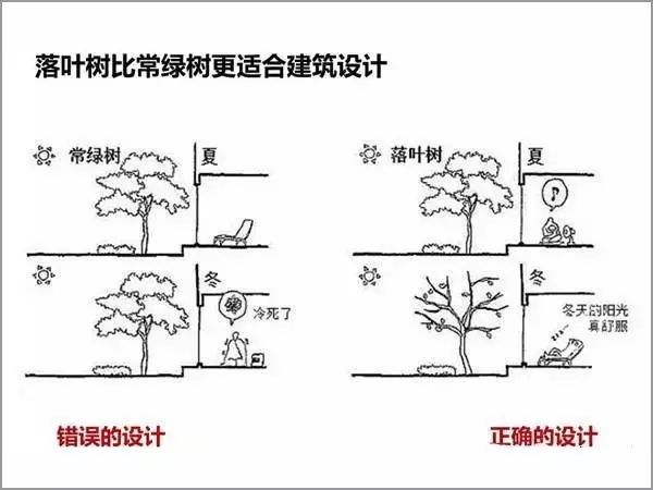 香港宝典全年资料大全