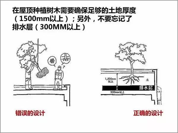 香港宝典全年资料大全