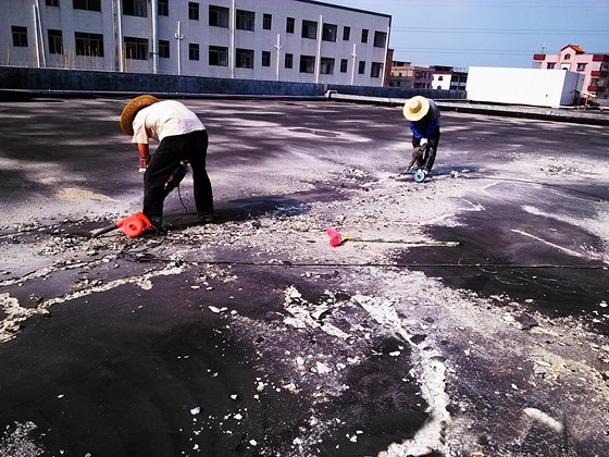 香港宝典全年资料大全